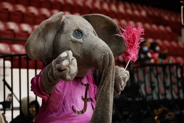 021322_WBB_BigAl_Kentucky_JH0653